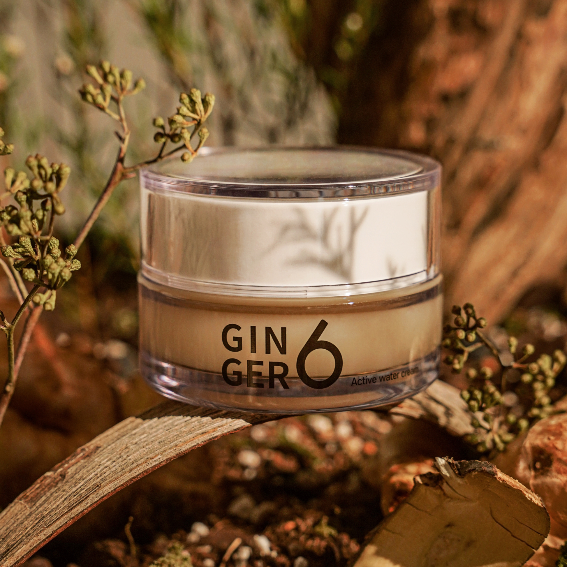 Ginger6 Active Water Day Cream elegantly displayed on a tree branch in a natural forest setting with bright sunlight