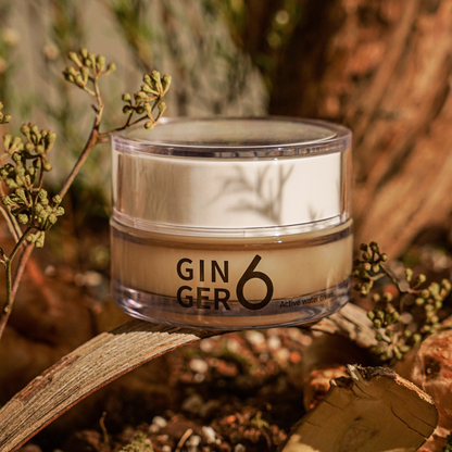 Ginger6 Active Water Day Cream elegantly displayed on a tree branch in a natural forest setting with bright sunlight