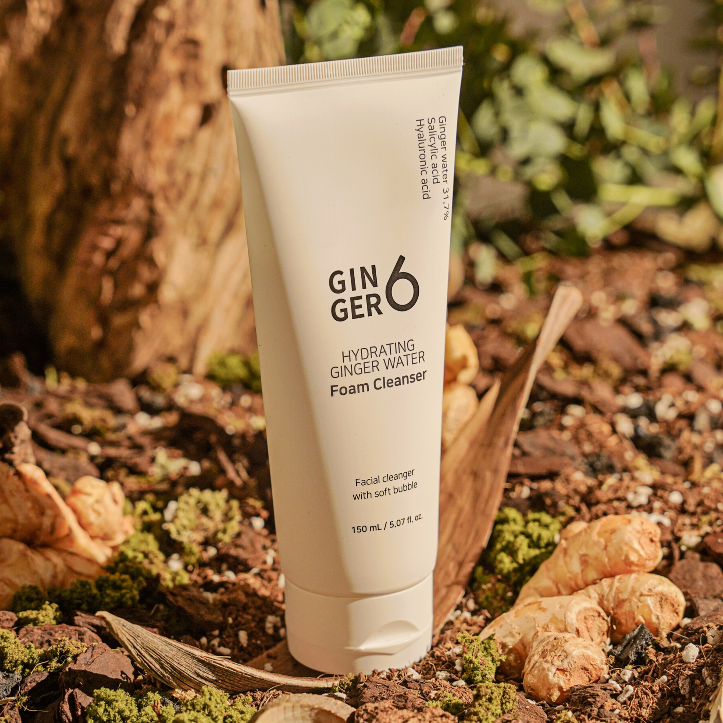 Ginger6 facial foam cleanser placed on natural soil and bark alongside raw ginger roots