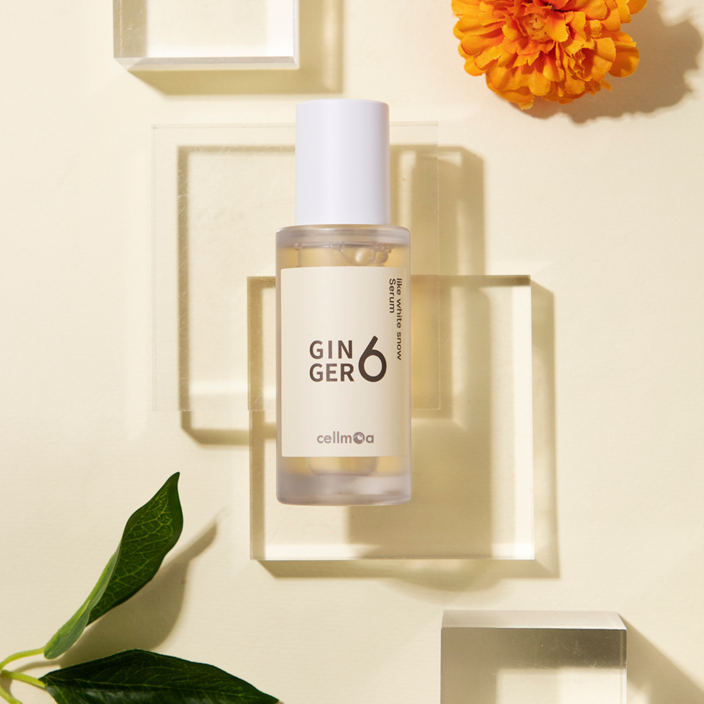 Ginger6 Like White Snow Serum elegantly displayed on clear acrylic blocks with a yellow flower and green leaf
